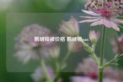鵝絨鎖被價格 鵝絨鎖pan