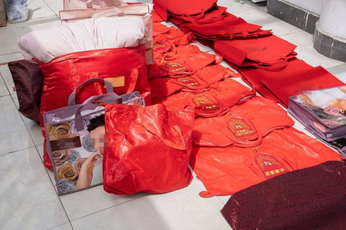 低至四折的明星產(chǎn)品藏貓膩 水星家紡大豆被遭仿冒，上海警方搗毀偽劣羽絨制品窩點(diǎn)